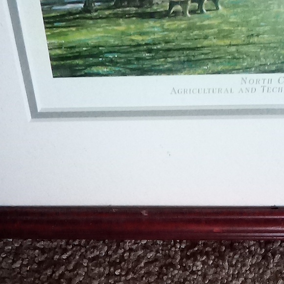 William Magnum artwork framed matted North Carolina - Picture 5 of 6